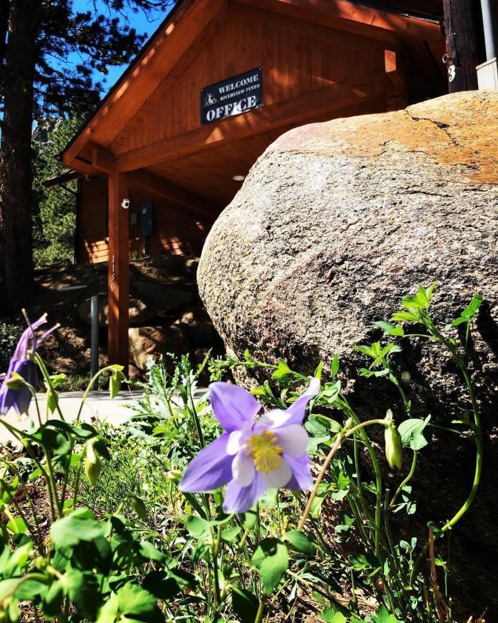 Riverview Pines Villa Estes Park Buitenkant foto