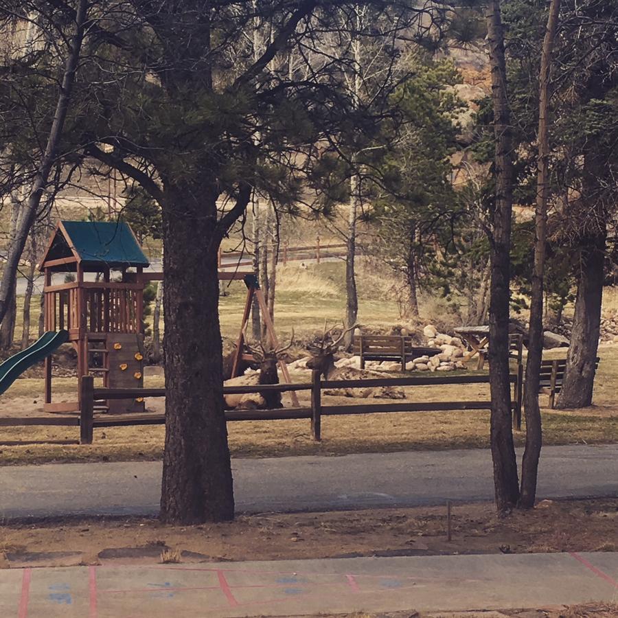 Riverview Pines Villa Estes Park Buitenkant foto