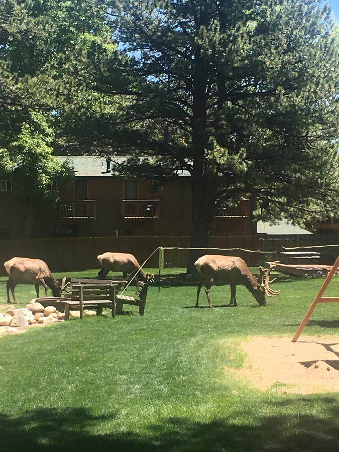 Riverview Pines Villa Estes Park Buitenkant foto