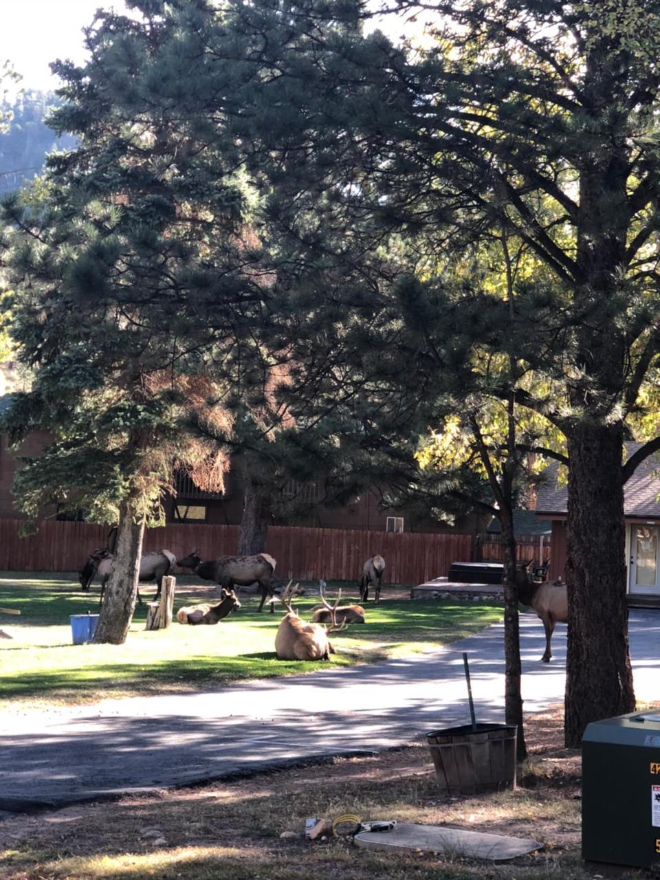Riverview Pines Villa Estes Park Buitenkant foto