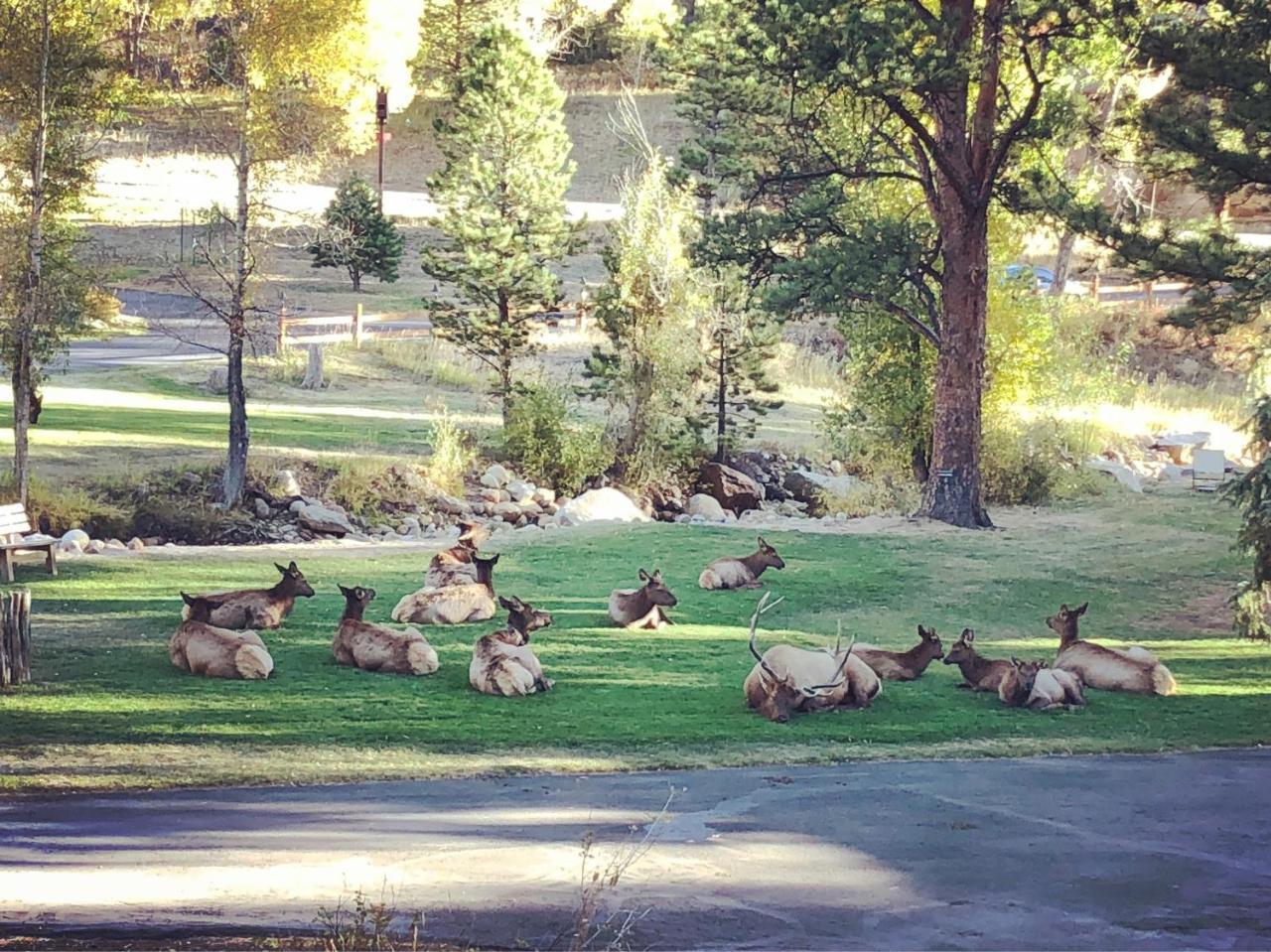 Riverview Pines Villa Estes Park Buitenkant foto